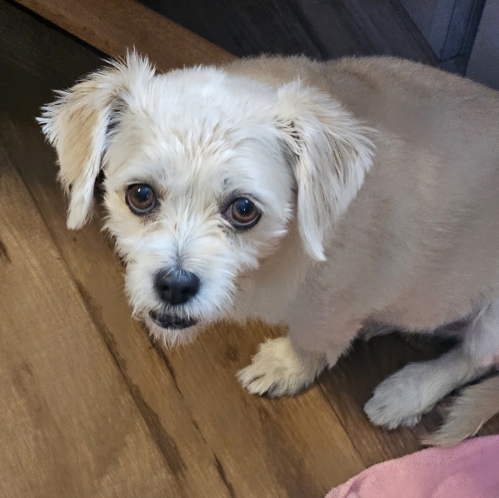 Meet your Posher, Wendy see our pictures - Picture 13 of 16